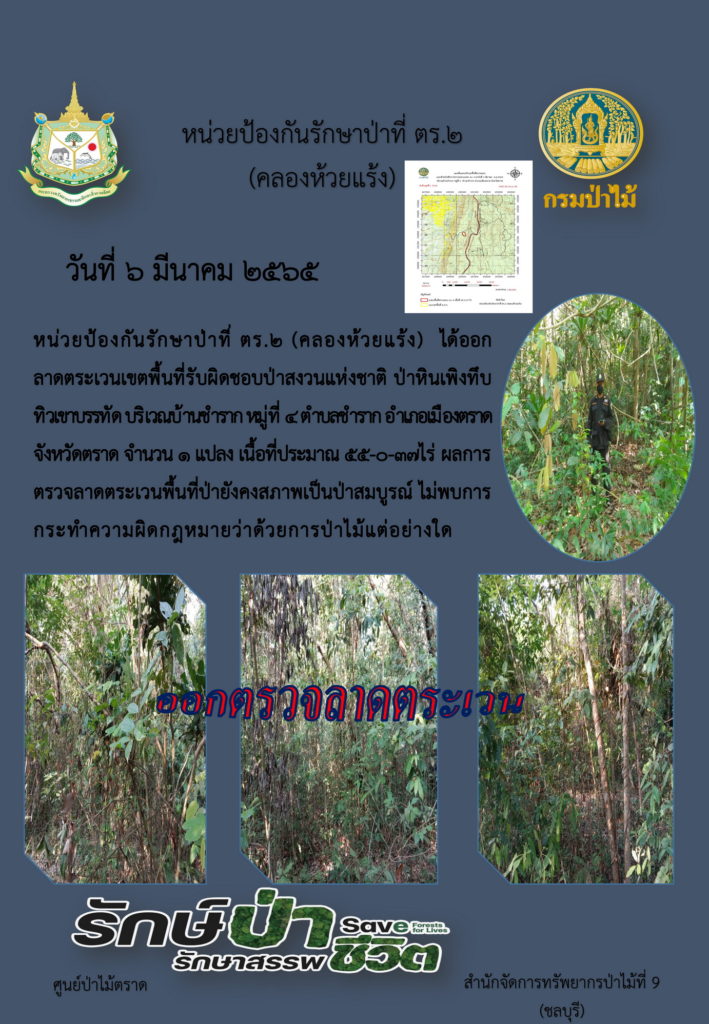 วันที่ 6 มีนาคม 2565 หน่วยป้องกันรักษาป่าที่ ตร.2 (คลองห้วยแร้ง) ได้ออกลาดตระเวนเขตพื้นที่รับผิดชอบป่าสงวนแห่งชาติ ป่าหินเพิงทึบ ทิวเขาบรรทัด บริเวณชำราก หมู่ที่ 4 ตำบลชำราก อำเภอเมืองตราด จังหวัดตราด จำนวน 1 แปลง เนื้อที่ 550-37 ไร่ ผลการตรวจลาดตระเวนพื้นที่ยังคงสภาพเป็นป่าสมบูรณ์ ไม่พบการกระทำความผิดตามกฎหมายว่าด้วยการป่าไม้แต่อย่างใด