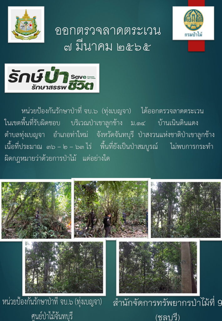 วันที่ 7 มีนาคม 2565 หน่วยป้องกันรักษาป่าที่ จบ.6 (ทุ่งเบญจา) ได้ออกตรวจลาดตระเวนในเขตพื้นที่รับผิดชอบ บริเวณป่าเขาลูกช้าง หมู่ที่ 14 บ้านเนินดินแดง ตำบลทุ่งเบญจา อำเภอท่าใหม่ จังหวัดจันทบุรี ป่าสงวนแห่งชาติป่าเขาลูกช้าง เนื้อที่ประมาณ 36-2-63 ไร่ พื้นที่ยังเป็นป่าสมบูรณ์ ไม่พบการกระทำผิดกฎหมายว่าด้วยการป่าไม้แต่อย่างใด