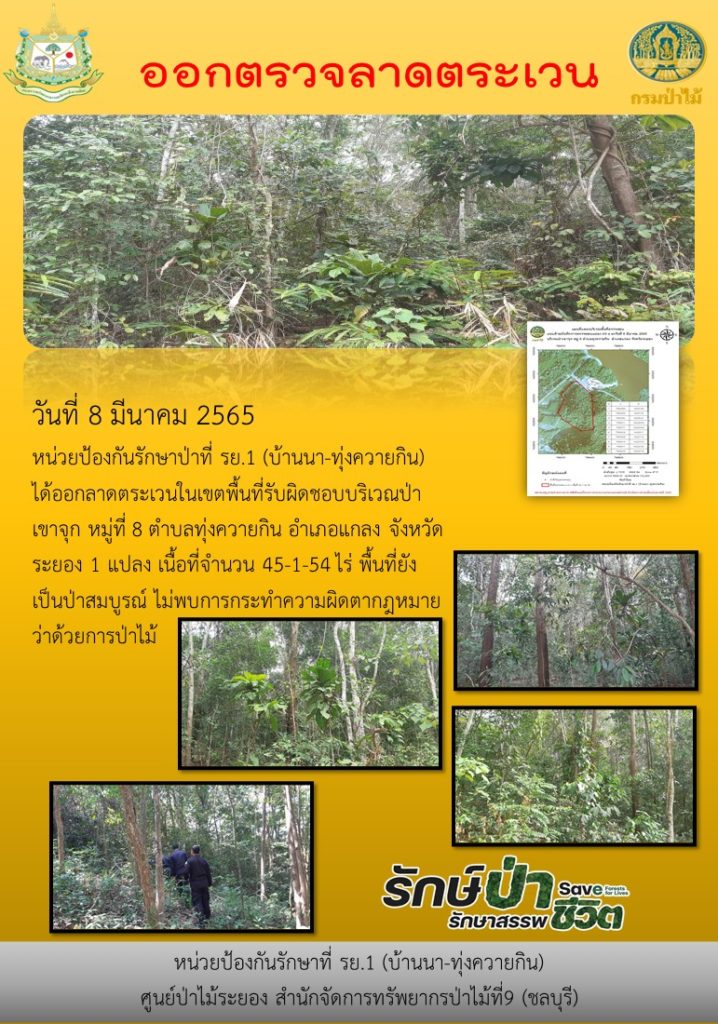 วันที่ 8 มีนาคม 2565 หน่วยป้องกันรักษาป่าที่ รย.1 (บ้านนา-ทุ่งควายกิน) ได้ออกลาดตระเวนในเขตพื้นที่รับผิดชอบบริเวณป่าเขาจุก หมู่ที่ 8 ตำบลทุ่งควายกิน อำเภอแกลง จังหวัดระยอง จำนวน 1 แปลง เนื้อที่ 45-1-54 ไร่ พื้นที่ยังเป็นป่าสมบูรณ์ ไม่พบการกระทำความผิดตามกฎหมายว่าด้วยการป่าไม้