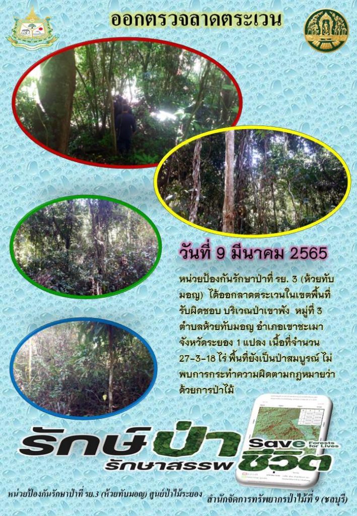 วันที่ 9 มีนาคม 2565 หน่วยป้องกันรักษาป่าที่ รย.3 (ห้วยทับมอญ) ได้ออกลาดตระเวนในเขตพื้นที่รับผิดชอบ บริเวณป่าเขาพัง หมู่ที่ 3 ตำบลห้วยทับมอญ อำเภอเขาชะเมา จังหวัดระยอง จำนวน 1 แปลง เนื้อที่ 27-3-18 ไร่ พื้นที่ยังเป็นป่าสมบูรณ์ ไม่พบการกระทำความผิดตามกฎหมายว่าด้วยการป่าไม้