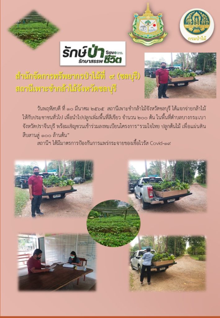 วันที่ 10 มีนาคม 2565 สถานีเพาะชำกล้าไม้จังหวัดชลบุรี ได้แจกจ่ายกล้าไม้ให้กับประชาชนทั่วไป เพื่อนำไปปลูกเพิ่มพื้นที่สีเขียว จำนวน 200 ต้น ในพื้นที่ตำบลบางกระเบา จังหวัดปราจีนบุรี พร้อมเชิญชวนเข้าร่วมลงทะเบียนโครงการ "รวมใจไทย ปลูกต้นไม้ เพื่อแผ่นดิน สืบสานสู่ 100 ล้านต้น"