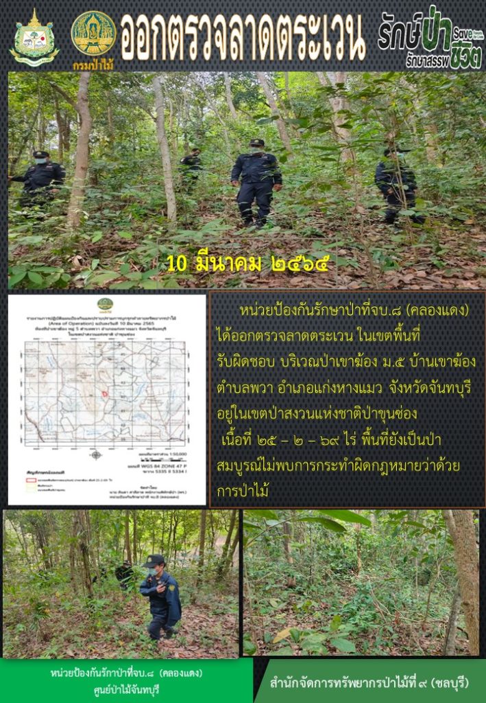 วันที่ 10 มีนาคม 2565 หน่วยป้องกันรักษาป่าที่ จบ.8 (คลองแดง) ได้ออกตรวจลาดตระเวนในเขตพื้นที่รับผิดชอบ บริเวณป่าเขาฆ้อง หมู่ที่ 5 บ้านเขาฆ้อง ตำบลพวา อำเภอแก่งหางแมว จังหวัดจันทบุรี อยู่ในเขตป่าสงวนแห่งชาติป่าขุนซ่อง เนื้อที่ 25-2-69 ไร่ พื้นที่ยังเป็นป่าสมบูรณ์ ไม่พบการกระทำผิดกฎหมายว่าด้วยการป่าไม้