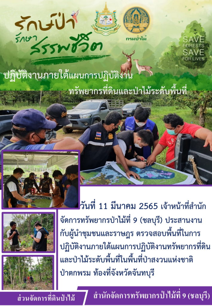วันที่ 11 มีนาคม 2565 เจ้าหน้าที่สำนักจัดการทรัพยากรป่าไม้ที่ 9 (ชลบุรี) ประสานงานกับผู้นำชุมชนและราษฎร ตรวจสอบพื้นที่ในการปฏิบัติงานภายใต้แผนการปฏิบัติงานทรัพยากรที่ดินและป่าไม้ระดับพื้นที่ ในพื้นที่ป่าสงวนแห่งชาติป่าตกพรม ท้องที่จังหวัดจันทบุรี
