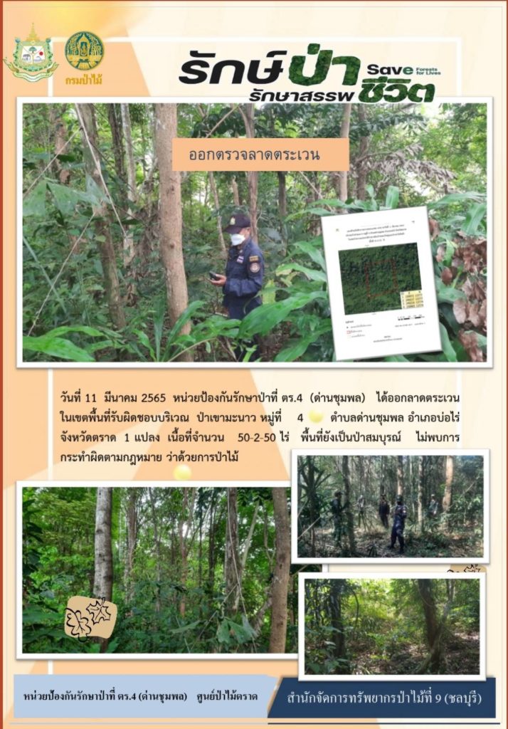 วันที่ 11 มีนาคม 2565 หน่วยป้องกันรักษาป่าที่ ตร.4 (ด่านชุมพล) ได้ออกลาดตระเวนในเขตพื้นที่รับผิดชอบบริเวณป่าเขามะนาว หมู่ที่ 4 ตำบลด่านชุมพล อำเภอบ่อไร่ จังหวัดตราด จำนวน 1 แปลง เนื้อที่ 50-2-5 ไร่ พื้นที่ยังเป็นป่าสมบูรณ์ ไม่พบการกระทำผิดตามกฎหมายว่าด้วยการป่าไม้