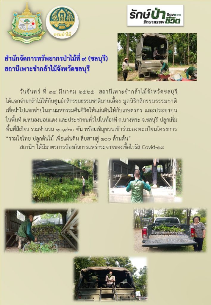 วันที่ 14 มีนาคม 2565 สถานีเพาะชำกล้าไม้จังหวัดชลบุรี ได้แจกจ่ายกล้าไม้ให้กับศูนย์กสิกรรมธรรมชาติมาบเอื้อง มูลนิธิกสิกรรมธรรมชาติเพื่อนำไปแจกจ่ายในงานมหกรรมคืนชีวิตให้แผ่นดินให้กับเกษตรกร และประชาชนในพื้นที่ ตำบลหนองบอนแดง และประชาชนทั่วไปท้องที่ ตำบลบางพระ จังหวัดชลบุรี ปลูกเพิ่มพื้นที่สีเขียว รวมจำนวน 10,120 ต้น พร้อมเชิญชวนเข้าร่วมลงทะเบียนโครงการ "รวมใจไทย ปลูกต้นไม้ เพื่อแผ่นดิน สืบสานสู่ 100 ล้านต้น"