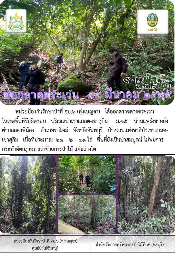 วันที่ 14 มีนาคม 2565 หน่วยป้องกันรักษาป่าที่ จบ.6 (ทุ่งเบญจา) ได้ออกตรวจลาดตระเวนในเขตพื้นที่รับผิดชอบ บริเวณป่าเขาแกลด-เขาสุกิม หมู่ที่ 15 บ้านแพร่งขาหยั่ง ตำบลสองพี่น้อง อำเภอท่าใหม่ จังหวัดจันทบุรี ป่าสงวนแห่งชาติป่าเขาแกลด-เขาสุกิม เนื้อที่ 21-2-41 ไร่ พื้นที่ยังเป็นป่าสมบูรณ์ ไม่พบการกระทำผิดกฎหมายว่าด้วยการป่าไม้แต่อย่างใด