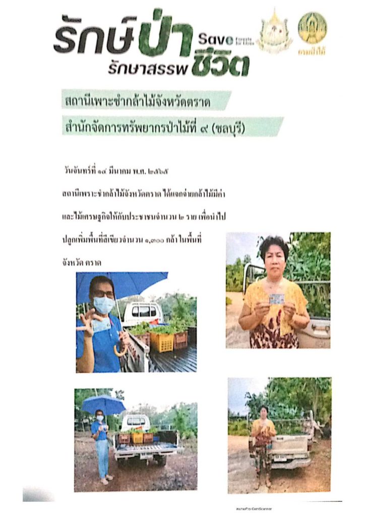 วันที่ 14 มีนาคม 2565 สถานีเพาะชำกล้าไม้จังหวัดตราด ได้แจกจ่ายกล้าไม้มีค่าและไม่เศรษฐกิจให้กับประชาชน 2 ราย เพื่อนำไปปลูกเพิ่มพื้นที่สีเขียว จำนวน 1,300 กล้า ในพื้นที่จังหวัดตราด