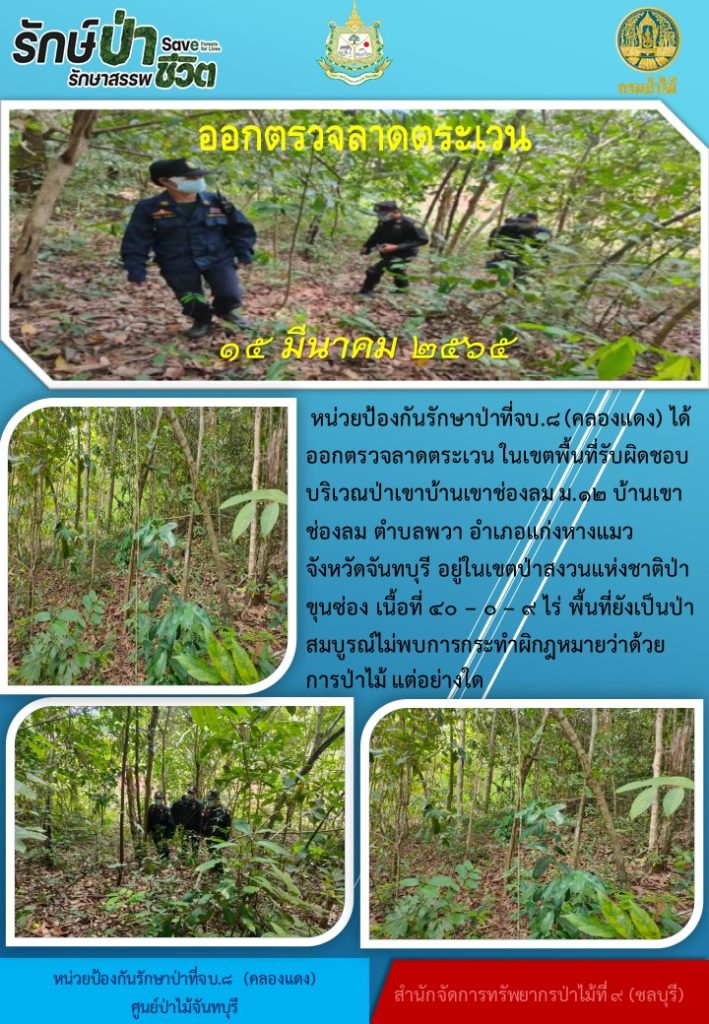 วันที่ 15 มีนาคม 2565 หน่วยป้องกันรักษาป่าที่ จบ.8 (คลองแดง) ได้ออกตรวจลาดตระเวนในเขตพื้นที่รับผิดชอบ บริเวณป่าเขาบ้านเขาช่องลม หมูที่ 12 บ้านเขาช่องลม ตำบลพวา อำเภอแก่งหางแมว จังหวัดจันทบุรี อยู่ในเขตป่าสงวนแห่งชาติป่าขุนซ่อง เนื้อที่ 40-0-9 ไร่ พื้นที่ยังเป็นป่าสมบูรณ์ ไม่พบการกระทำผิดกฎหมายว่าด้วยการป่าไม้แต่อย่างใด