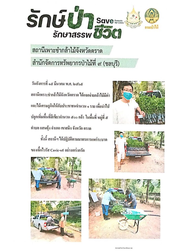 วันที่ 15 มีนาคม 2565 สถานีเพาะชำกล้าไม้จังหวัดตราด ได้แจกจ่ายกล้าไม้มีค่าและไม้เศรษฐกิจให้กับประชาชน 1 ราย เพื่อนำไปปลูกเพิ่มพื้นที่สีเขียว จำนวน 500 กล้า ในพื้นที่หมู่ที่ 5 ตำบลแสนตุ้ง อำเภอเขาสมิง จังหวัดตราด