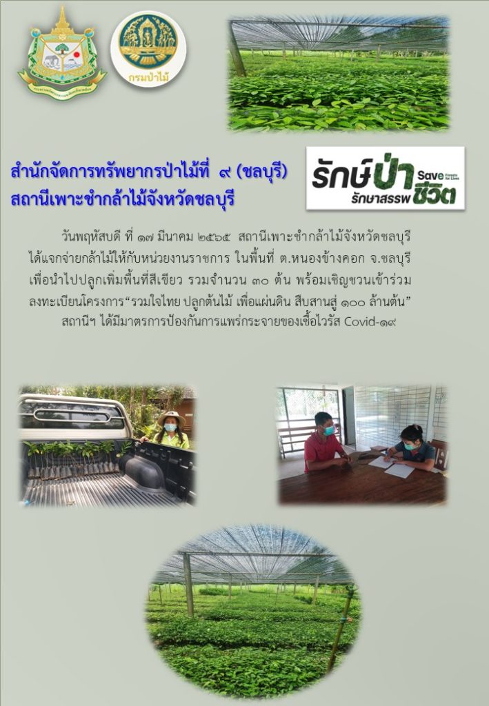 วันที่ 17 มีนาคม 2565 สถานีเพาะชำกล้าไม้จังหวัดชลบุรี ได้แจกจ่ายกล้าไม้ให้กับหน่วยงานราชการ ในพื้นที่ตำบลหนองข้างคอก จังหวัดชลบุรี เพื่อนำไปปลูกเพิ่มพื้นที่่สีเขียว จำนวน 30 ต้น พร้อมเชิญชวนเข้าร่วมลงทะเบียนโครงการ "รวมใจไทย ปลูกต้นไม้ เพื่อแผ่นดิน สืบสานสู่ 100 ล้านต้น"