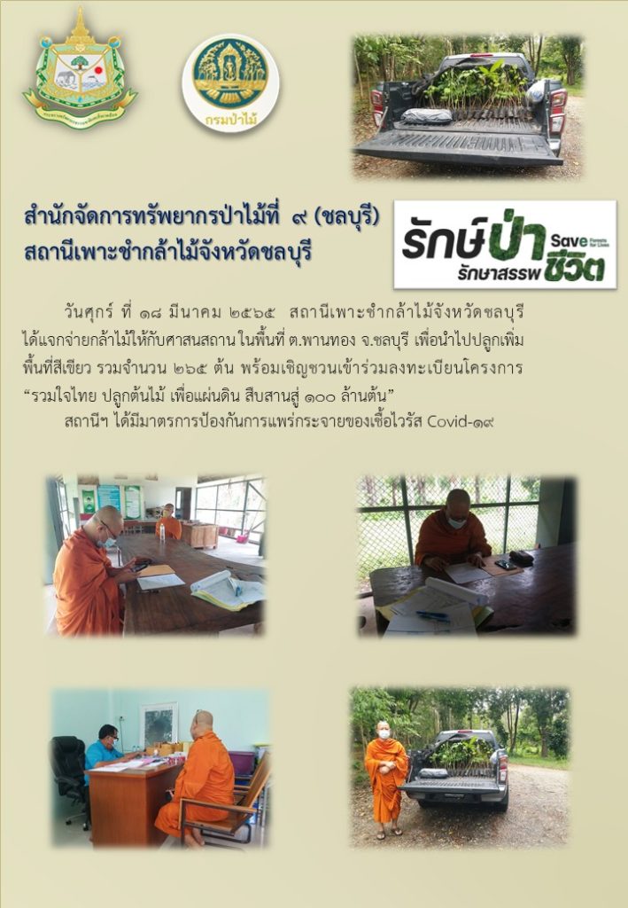 วันที่ 18 มีนาคม 2565 สถานีเพาะชำกล้าไม้จังหวัดชลบุรี ได้แจกจ่ายกล้าไม้ให้กับศาสนสถาน ในพื้นที่ตำบลพานทอง จังหวัดชลบุรี เพื่อนำไปปลูกเพิ่มพื้นที่สีเขียว จำนวน 265 ต้น พร้อมเชิญชวนเข้าร่วมลงทะเบียนโครงการ "รวมใจไทย ปลูกต้นไม้ เพื่อแผ่นดิน สืบสานสู่ 100 ล้านต้น"