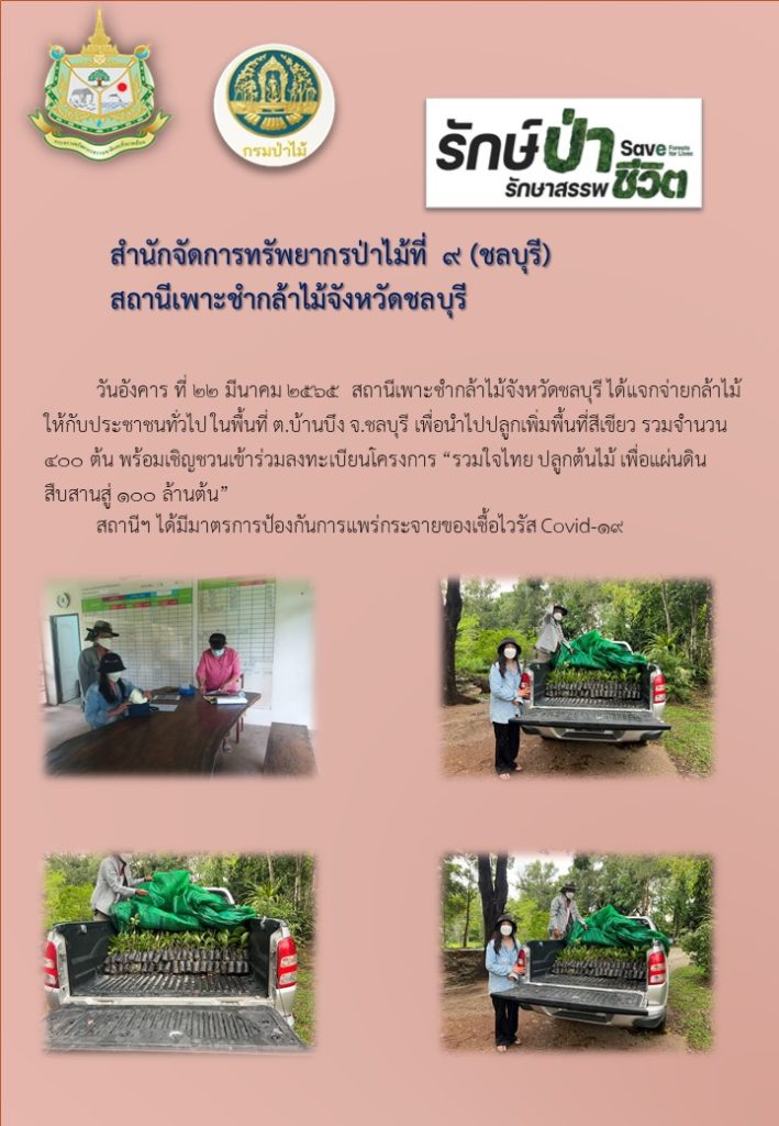 วันที่ 22 มีนาคม 2565 สถานีเพาะชำกล้าไม้จังหวัดชลบุรี ได้แจกจ่ายกล้าไม้ให้กับประชาชนทั่วไปในพื้นที่ตำบลบ้านบึง จังหวัดชลบุรี เพื่อนำไปปลูกเพิ่มพื้นที่สีเขียว จำนวน 400 ต้น พร้อมเชิญชวนเข้าร่วมลงทะเบียนโครงการ "รวมใจไทย ปลูกต้นไม้ เพื่อแผ่นดิน สืบสานสู่ 100 ล้านต้น"