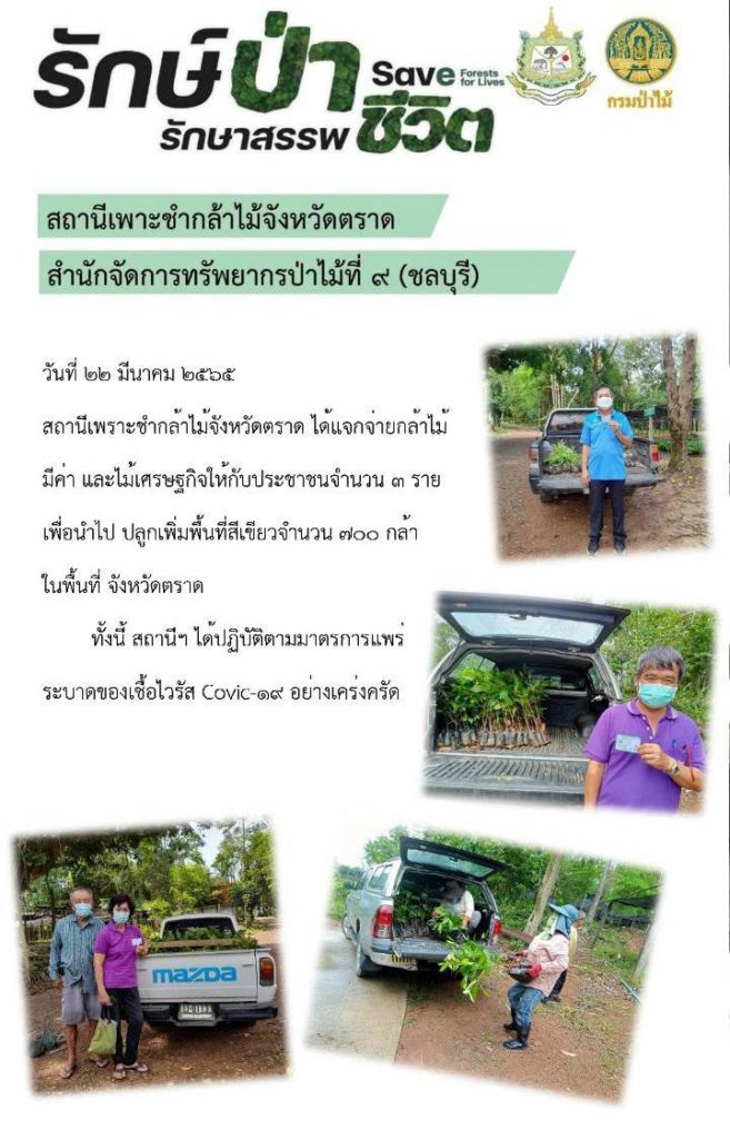 วันที่ 22 มีนาคม 2565 สถานีเพาะชำกล้าไม้จังหวัดชลบุรี ได้แจกจ่ายกล้าไม้มีค่า และไม้เศรษฐกิจให้กับประชาชน 3 ราย เพื่อนำไปปลูกเพิ่มพื้นที่สีเขียว จำนวน 700 กล้า ในพื้นที่จังหวัดตราด