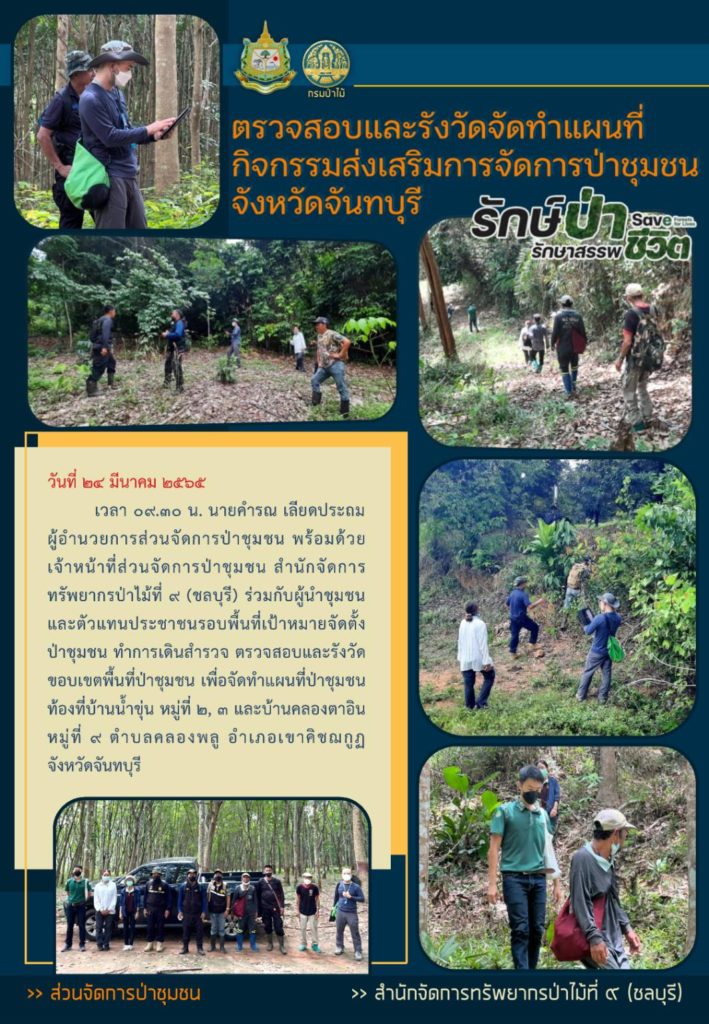 วันที่ 24 มีนาคม 2565 เวลา 09.30 น. นายคำรณ เลียดประถม ผู้อำนวยการส่วนจัดการป่าชุมชน พร้อมด้วยเจ้าหน้าที่ส่วนจัดการป่าชุมชน สำนักจัดการทรัพยากรป่าไม้ที่ 9 (ชลบุรี) ร่วมกับผู้นำชุมชนและตัวแทนประชาชนรอบพื้นที่เป้าหมายจัดตั้งป่าชุมชน ทำการเดินสำรวจ ตรวจสอบและรังวัดขอบเขตพื้นที่ป่าชุมชน เพื่อจัดทำแผนที่ป่าชุมชน ท้องที่บ้านน้ำขุ่น หมู่ที่ 2, 3 และบ้านคลองตาอิน หมู่ที่ 9 ตำบลคลองพลู อำเภอเขาคิชฌกูฏ จังหวัดจันทบุรี