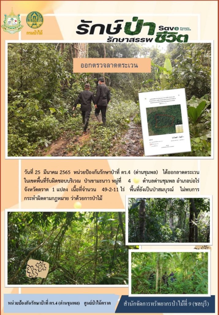 วันที่ 25 มีนาคม 2565 หน่วยป้องกันรักษาป่าที่ ตร.4 (ด่านชุมพล) ได้ออกลาดตระเวนในเขตพื้นที่รับผิดชอบ บริเวณป่าเขามะนาว หมู่ที่ 4 ตำบลด่านชุมพล อำเภอบ่อไร่ จังหวัดตราด จำนวน 1 แปลง เนื้อที่ 46-2-11 ไร่ พื้นที่ยังเป็นป่าสมบูรณ์ ไม่พบการกระทำผิดตามกฎหมายว่าด้วยการป่าไม้