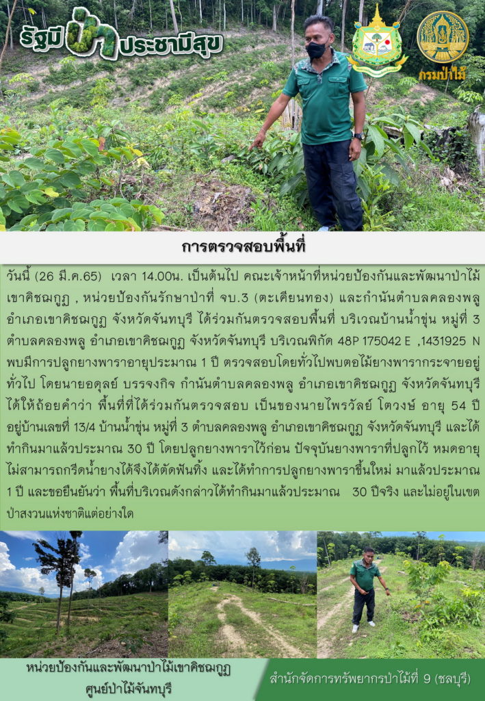 วันที่ 26 มีนาคม 2565 เวลา 14.00 น. คณะเจ้าหน้าที่หน่วยป้องกันและพัฒนาป่าไม้เขาคิชฌกูฏ หน่วยป้องกันรักษาป่าที่ จบ.3 (ตะเคียนทอง) และกำนันตำบลคลองพลู อำเภอเขาคิชฌกูฏ จังหวัดจันทบุรี ได้ร่วมกันตรวจพื้นที่ บริเวณบ้านน้ำขุ่น หมู่ที่ 3 ตำบลคลองพลู อำเภอเขาคิชฌกูฏ จังหวัดจันทบุรี บริเวณพิกัด 48P 175042 E 1431925 N พบมีการปลูกยางพาราอายุประมาณ 1 ปี ตรวจสอบโดยทั่วไปพบตอไม้ยางพารากระจายอยู่ทั่วไป โดยนายอดุลย์ บรรจงกิจ กำนันตำบลคลองพลู อำเภอเขาคิชฌกูฏ จังหวัดจันทบุรี ได้ให้ถ่อยคำว่า พื้นที่ที่ได้ร่วมกันตรวจสอบเป็นของนายไพรวัลย์ โตวงษ์ อยู่บ้านเลขที่ 13/4 บ้านน้ำขุ่น หมู่ที่ 3 ตำบลคลองพลู อำเภอเขาคิชฌกูฏ จังหวัดจันทบุรี และได้ทำกินมาแล้วประมาณ 30 ปี โดยปลูกยางพาราไว้ก่อน ปัจจุบันยางพาราที่ปลูกไว้หมดอายุไม่สามารถกรีดน้ำยางได้ จึงได้ตัดทิ้ง และได้ทำการปลูกยางพาราขึ้นใหม่ มาแล้วประมาณ 1 ปี และขอยืนยันว่าพื้นที่ดังกล่าวได้ทำกินมาแล้วประมาณ 30 ปีจริง และไม่อยู่ในเขตป่าสงวนแห่งชาติแต่อย่างใด