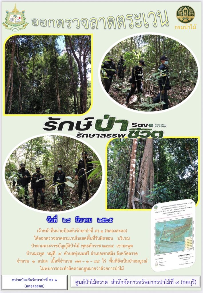 วันที่ 28 มีนาคม 2565 เจ้าหน้าที่หน่วยป้องกันรักษาป่าที่ ตร.1 (คลองสะตอ) ได้ออกตรวจลาดตระเวนในเขตพื้นที่รับผิดชอบ บริเวณป่าตามพระราชบัญญัติป่าไม้ พุทธศักราช 2484 เขามะพูด บ้านมะพูด หมู่ที่ 4 ตำบลทุ่งนนทรี อำเภอเขาสมิง จังหวัดตราด จำนวน 1 แปลง เนื้อที่ 77-1-84 ไร่ พื้นที่ยังเป็นป่าสมบูรณ์ ไม่พบการกระทำผิดตามกฎหมายว่าด้วยการป่าไม้