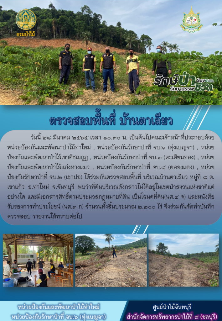 วันที่ 28 มีนาคม 2565 เวลา 10.30 น. คณะเจ้าหน้าที่ประกอบด้วยหน่วยป้องกันและพัฒนาป่าไม้ท่าใหม่ หน่วยป้องกันรักษาป่าที่ จบ.6 (ทุ่งเบญจา) หน่วยป้องกันและพัฒนาป่าไม้เขาคิชฌกูฏ หน่วยป้องกันรักษาป่าที่ จบ.3 (ตะเคียนทอง) หน่วยป้องกันและพัฒนาป่าไม้แก่งหางแมว หน่วยป้องกันรักษาป่าที่ จบ.7 (คลองแดง) หน่วยป้องกันรักษาป่าที่ จบ.2 (เขาปอ) ได้ร่วมกันตรวจสอบพื้นที่บริเวณบ้านตาเลียว หมู่ที่ 8 ตำบลเขาแก้ว อำเภอท่าใหม่ จังหวัดจันทบุรี พบว่าที่ดินบริเวณดังกล่าวไม่ได้อยู่ในเขตป่าสงวนแห่งชาติแต่อย่างใด และมีเอกสารสิทธิ์ตามประมวลกฎหมายที่ดินเป็นโฉนดที่ดิน (นส.4 จ) และหนังสือรับรองการทำประโยชน์ (นส.3 ก) จำนวน ทั้งสิ้น 2,200 ไร่ จึงร่วมกันจัดทำบันทึกตรวจสอบและรายงานให้ทราบต่อไป