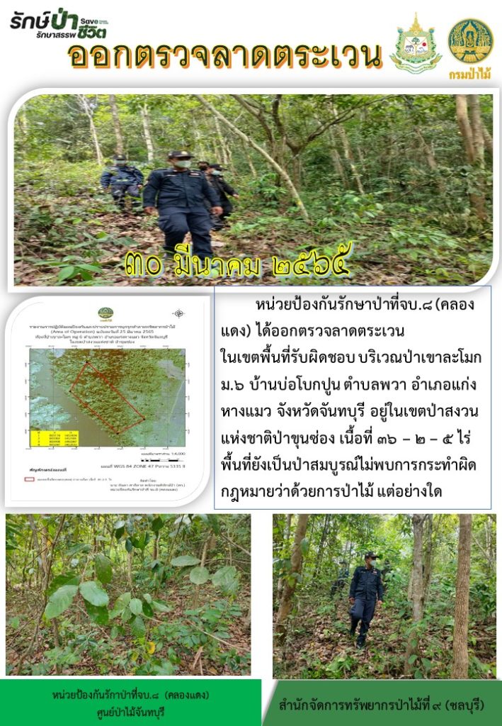 วันที่ 30 มีนาคม 2565 หน่วยป้องกันรักษาป่าที่ จบ.8 (คลองแดง) ได้ออกตรวจลาดตระเวนในเขตพื้นที่รับผิดชอบ บริเวณป่าเขาละโมก หมู่ที่ 6 บ้านบ่อโบกปูน ตำบลพวา อำเภอแก่งหางแมว จังหวัดจันทบุรี อยู่ในเขตป่าสงวนแห่งชาติป่าขุนซ่อง เนื้อที่ 36-2-5 ไร่ พื้นที่ยังเป็นป่าสมบูรณ์ ไม่พบการกระทำผิดกฎหมายว่าด้วยการป่าไม้ แต่อย่างใด