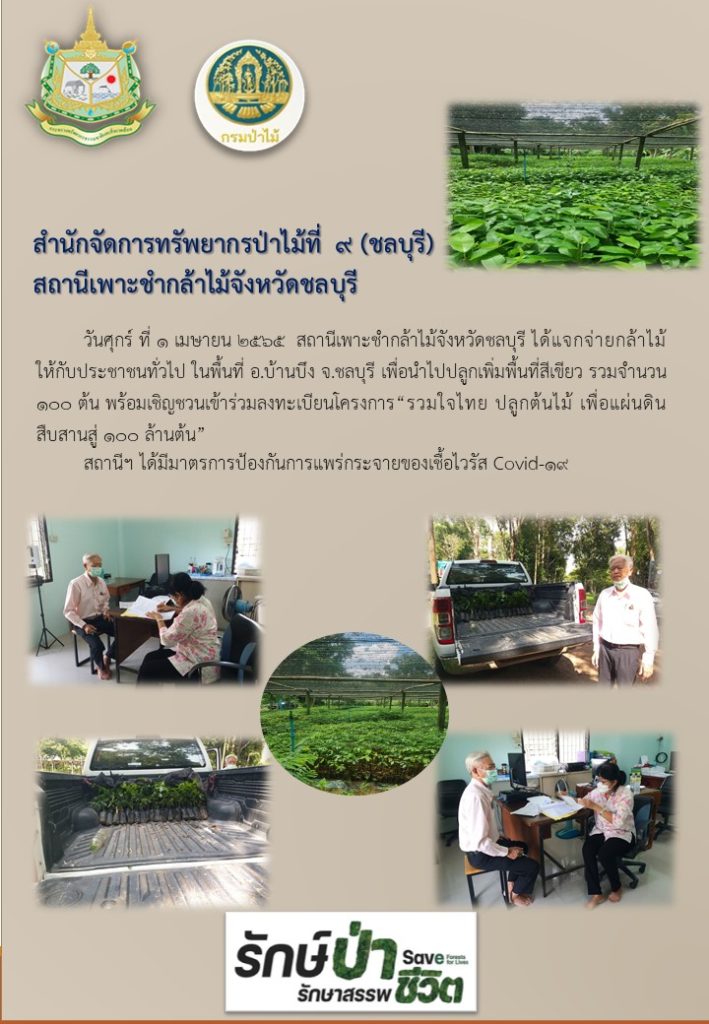 วันที่ 1 เมษายน 2565 สถานีเพาะชำกล้าไม้จังหวัดชลบุรี ได้แจกจ่ายกล้าไม้ให้กับประชาชนทั่วไป ในพื้นที่อำเภอบ้านบึง จังหวัดชลบุรี เพื่อนำไปปลูกเพิ่มพื้นที่สีเขียว จำนวน 100 ต้น พร้อมเชิญชวนเขาร่วมลงทะเบียนโครงการ "รวมใจไทย ปลูกต้นไม้ เพื่อแผ่นดิน สืบสานสู่ 100 ล้านต้น"