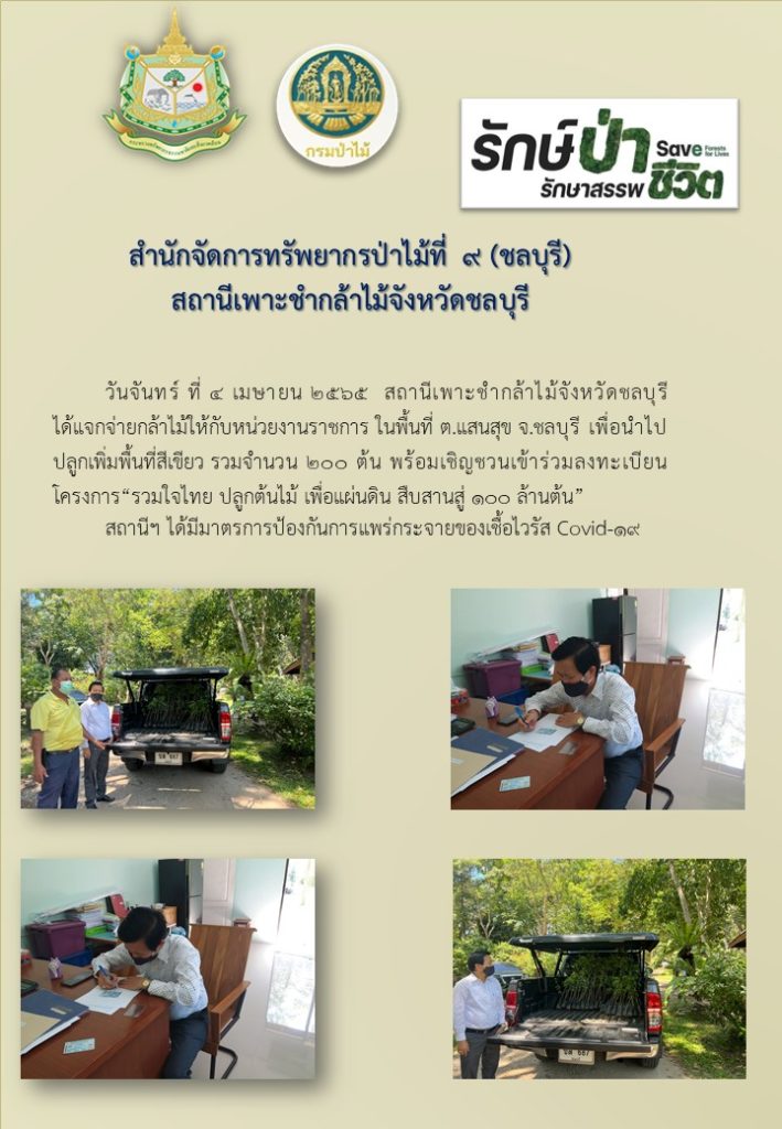 วันที่ 4 เมษายน 2565 สถานีเพาะชำกล้าไม้จังหวัดชลบุรี ได้แจกจ่ายกล้าไม้ให้กับหน่วยงานราชการ ในพื้นที่ตำบลแสนสุข จังหวัดชลบุรี เพื่อนำไปปลูกเพิ่มพื้นที่สีเขียว จำนวน 200 ต้น พร้อมเชิญชวนเข้าร่วมลงทะเบียนโครงการ "รวมใจไทย ปลูกต้นไม้ เพื่อแผ่นดิน สืบสานสู่ 100 ล้านต้น