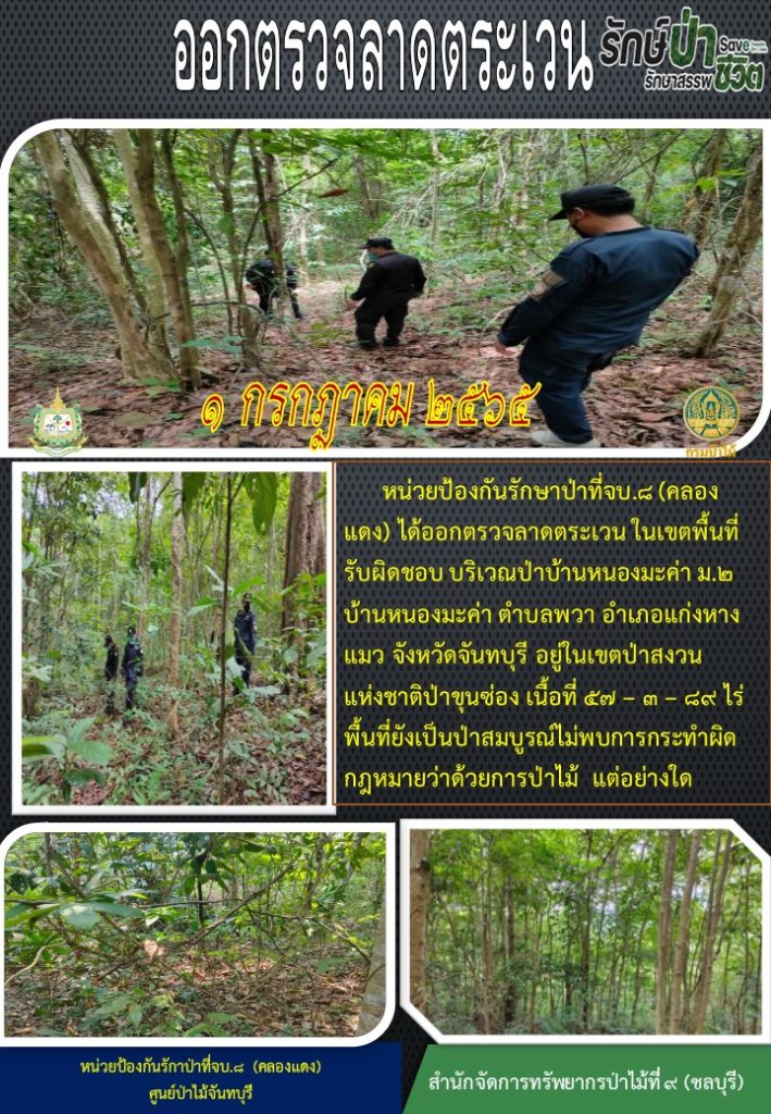 วันที่ 1 กรกฎาคม 2565 หน่วยป้องกันรักษาป่าที่ จบ.8 (คลองแดง) ได้ออกตรวจลาดตระเวนในเขตพื้นที่รับผิดชอบ บริเวณป่าบ้านหนองมะค่า หมู่ที่ 2 บ้านหนองมะค่า ตำบลพวา อำเภอแก่งหางแมว จังหวัดจันทบุรี อยู่ในเขตป่าสงวนแห่งชาติป่าขุนซ่อง เนื้อที่ 57-3-89 ไร่ พื้นที่ยังเป็นป่าสมบูรณ์ ไม่พบการกระทำผิดกฎหมายว่าด้วยการป่าไม้แต่อย่างใด