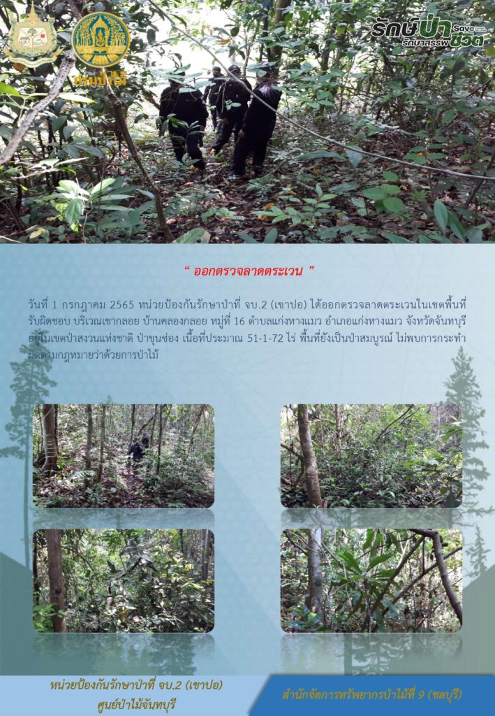 วันที่ 1 กรกฎาคม 2565 หน่วยป้องกันรักษาป่าที่ จบ.2 (เขาปอ) ได้ออกตรวจลาดตระเวนในเขตพื้นที่รับผิดชอบ บริเวณเขากลอย บ้านคลองกลอย หมู่ที่ 16 ตำบลแก่งหางแมว อำเภอแก่งหางแมว จังหวัดจันทบุรี อยู่ในเขตป่าสงวนแห่งชาติ ป่าขุนซ่อง เนื้อที่ประมาณ 51-1-72 ไร่ พื้นที่ยังเป็นป่าสมบูรณ์ ไม่พบการกระทำผิดตามกฎหมายว่าด้วยการป่าไม้