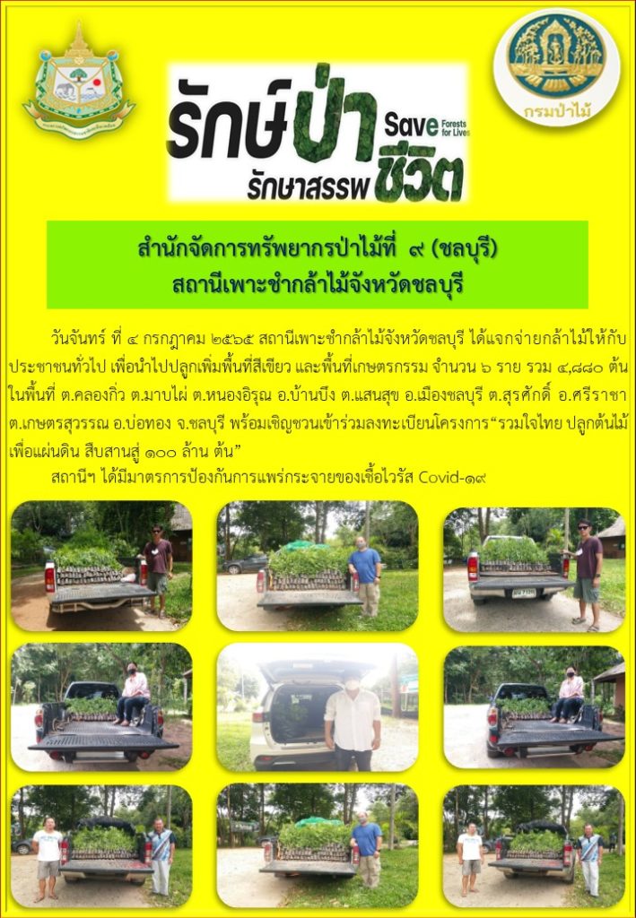 วันที่ 4 กรกฎาคม 2565 สถานีเพาะชำกล้าไม้จังหวัดชลบุรี ได้แจกจ่ายกล้าไม้ให้กับประชาชนทั่วไป เพื่อนำไปปลูกเพิ่มพื้นที่สีเขียว และพื้นที่เกษตรกรรม จำนวน 6 ราย รวม 4,880 ต้น ในพื้นที่ตำบลคลองกิ่ว ตำบลมาบไผ่ อำเภอบ้านบึง ตำบลแสนสุข อำเภอเมือง ตำบลสุรศักดิ์ อำเภอศรีราชา ตำบลเกษตรสุวรรณ อำเภอบ่อทอง จังหวัดชลบุรี พร้อมเชิญชวนเข้าร่วมลงทะเบียนโครงการ "รวมใจไทย ปลูกต้นไม้ เพื่อแผ่นดิน สืบสานสู่ 100 ล้านต้น"