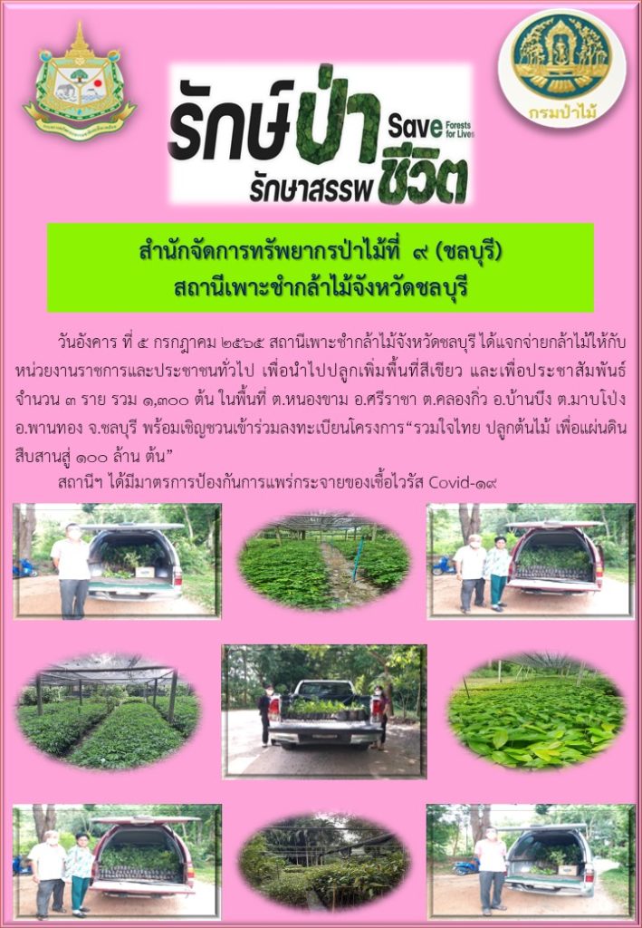 วันที่ 5 กรกฎาคม 2565 สถานีเพาะชำกล้าไม้จังหวัดชลบุรี ได้แจกจ่ายกล้าไม้ให้กับหน่วยงานราชการและประชาชนทั่วไป เพื่อนำไปปลูกเพิ่มพื้นที่สีเขียว และเพื่อประชาสัมพันธ์ จำนวน 3 ราย รวม 1,300 ต้น ในพื้นที่ตำบลหนองขาม อำเภอศรีราชา ตำบลคลองกิ่ว อำเภอบ้านบึง ตำบลมาบโป่ง อำเภอพานทอง จังหวัดชลบุรี พร้อมเชิญชวนเข้าร่วมลงทะเบียนโครงการ "รวมใจไทย ปลูกต้นไม้ เพื่อแผ่นดิน สืบสานสู่ 100 ล้านต้น"