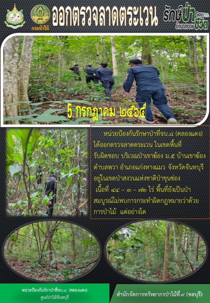 วันที่ 5 กรกฎาคม 2565 หน่วยป้องกันรักษาป่าที่ จบ.8 (คลองแดง) ได้ออกตรวจลาดตระเวนในเขตพื้นที่รับผิดชอบ บริเวณป่าเขาฆ้อง หมู่ที่ 5 บ้านเขาฆ้อง ตำบลพวา อำเภอแก่งหาวแมว จังหวัดจันทบุรี อยู่ในเขตป่าสงวนแห่งชาติป่าขุนซ่อง เนื้อที่ 44-3-72 ไร่ พื้นที่ยังเป็นป่าสมบูรณ์ ไม่พบการกระทำผิดกฎหมายว่าด้วยการป่าไม้แต่อย่างใด