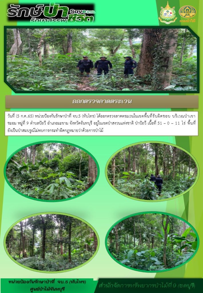 วันที่ 5 กรกฎาคม 2565 หน่วยป้องกันรักษาป่าที่ จบ.5 (ทับไทร) ได้ออกตรวจลาดตระเวนในเขตพื้นที่รับผิดชอบ บริเวณป่าเขาชะอม หมู่ที่ 9 ตำบลปัถวี อำเภอมะขาม จังหวัดจันทบุรี อยู่ในเขตป่าสงวนแห่งชาติป่าปัถวี เนื้อที่ 51-0-11 ไร่ พื้นที่ยังเป็นป่าสมบูรณ์ ไม่พบการกระทำผิดกฎหมายว่าด้วยการป่าไม้