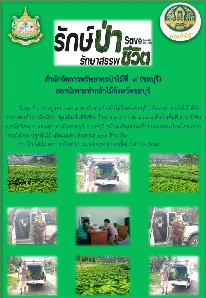วันที่ 6 กรกฎาคม 2565 สถานีเพาะชำกล้าไม้จังหวัดชลบุรี ได้แจกจ่ายกล้าไม้ให้กับประชาชนทั่วไป เพื่อนำไปปลูกเพิ่มพื้นที่สีเขียว จำนวน 2 ราย รวม 1,010 ต้น ในพื้นที่ตำบลนาวังหิน อำเภอพนัสนิคม ตำบลแสนสุข อำเภอเมืองชลบุรี จังหวัดชลบุรี พร้อมเชิญชวนเข้าร่วมลงทะเบียนโครงการ "รวมใจไทย ปลูกต้นไม้ เพื่อแผ่นดิน สืบสานสู่ 100 ล้านต้น"