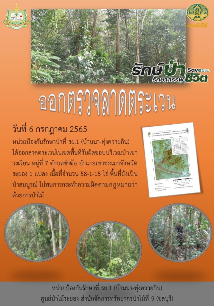 วันที่ 6 กรกฎาคม 2565 หน่วยป้องกันรักษาป่าที่ รย.1 (บ้านนา-ทุ่งควายกิน) ได้ออกตรวจลาดตระเวนในเขตพื้นที่รับผิดชอบ บริเวณป่าเขาวงเวียน หมู่ที่ 7 ตำบลชำฆ้อ อำเภอเขาชะเมา จังหวัดระยอง จำนวน 1 แปลง เนื้อที่ 58-1-15 ไร่ พื้นที่ยังเป็นป่าสมบูรณ์ ไม่พบการกระทำความผิดตามกฎหมายว่าด้วยการป่าไม้