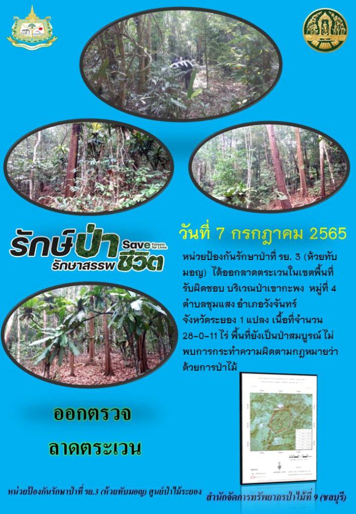 วันที่ 7 กรกฎาคม 2565 หน่วยป้องกันรักษาป่าที่ รย.3 (ห้ายทับมอญ) ได้ออกลาดตระวเนในเขตพื้นที่รับผิดชอบ บริเวณป่าเขากะพง หมู่ที่ 4 ตำบลชุมแสง อำเภอวังจันทร์ จังหวัดระยอง จำนวน 1 แปลง เนื้อที่ 28-0-11 ไร่ พื้นที่ยังเป็นป่าสมบูรณ์ ไม่พบการกระทำผิดตามกฎหมายว่าด้วยการป่าไม้