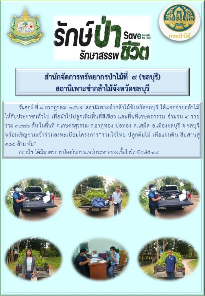 วันที่ 8 กรกฎาคม 2565 สถานีเพาะชำกล้าไม้จังหวัดชลบุรี ได้แจกจ่ายกล้าไม้ให้กับประชาชนทั่วไป เพื่อนำไปปลูกเพิ่มพื้นที่สีเขียว และพื้นที่เกษตรกรรม จำนวน 4 ราย รวม 3,970 ต้น ในพื้นที่ตำบลเกษตรสุวรรณ ตำบลธาตุทอง อำเภอบ่อทอง ตำบลเสม็ด อำเภอเมืองชลบุรี จังหวัดชลบุรี พร้อมเชิญชวนเข้าร่วมลงทะเบียนโครงการ "รวมใจไทย ปลูกต้นไม้ เพื่อแผ่นดิน สืบสานสู่ 100 ล้านต้น"
