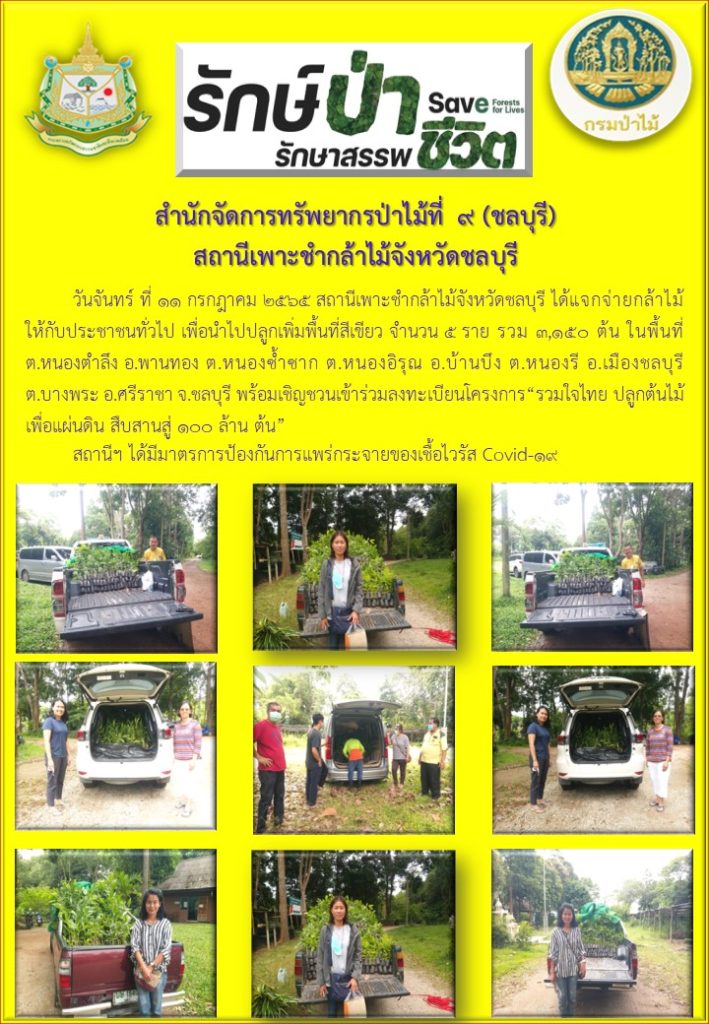 วันที่ 11 กรกฎาคม 2565 สถานีเพาะชำกล้าไม้จังหวัดชลบุรี ได้แจกจ่ายกล้าไม้ให้กับประชาชนทั่วไป เพื่อนำไปปลูกเพิ่มพื้นที่สีเขียว จำนวน 5 ราย รวม 3,150 ต้น ในพื้นที่ตำบลหนองตำลึง อำเภอพานทอง ตำบลหนองซ้ำซาก ตำบลหนองอิรุณ อำเภอบ้านบึง ตำบลหนองรี อำเภอเมืองชลบุรี ตำบลบางพระ อำเภอศรีราชา จังหวัดชลบุรี พร้อมเชิญชวนเข้าร่วมลงทะเบียนโครงการ "รวมใจไทย ปลูกต้นไม้ เพื่อแผ่นดิน สืบสานสู่ 100 ล้านต้น"