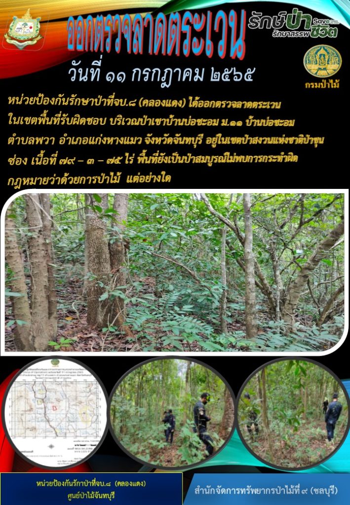วันที่ 11 กรกฎาคม 2565 หน่วยป้องกันรักษาป่าที่ จบ.8 (คลองแดง) ได้ออกตรวจลาดตระเวนในเขตพื้นที่รับผิดชอบ บริเวณป่าเขาบ้านบ่อชะอม หมู่ที่ 11 บ้านบ่อชะอม ตำบลพวา อำเภอแก่งหางแมว จังหวัดจันทบุรี อยู่ในเขตป่าสงวนแห่งชาติป่าขุนซ่อง เนื้อที่ 79-3-75 ไร่ พื้นที่ยังเป็นป่าสมบูรณ์ ไม่พบการกระทำผิดกฎหมายว่าด้วยการป่าไม้แต่อย่างใด