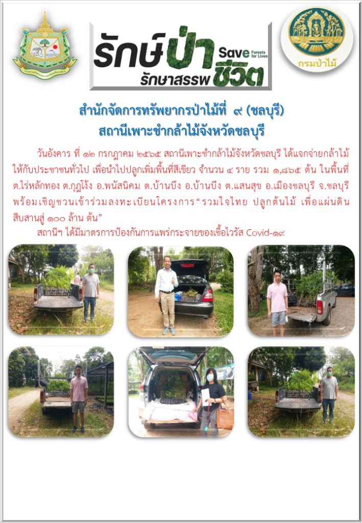 วันที่ 12 กรกฎาคม 2565 สถานีเพาะชำกล้าไม้จังหวัดชลบุรี ได้แจกจ่ายกล้าไม้ให้กับประชาชนทั่วไป เพื่อนำไปปลูกเพิ่มพื้นที่สีเขียวจำนวน 4 ราย รวม 1,865 ต้น ในพื้นที่ตำบลไร่หลักทอง ตำบลกุฎโง้ง อำเภอพนัสนิคม ตำบลบ้านบึง อำเภอบ้านบึง ตำบลแสนสุข อำเภอเมืองชลบุรี จังหวัดชลบุรี พร้อมเชิญชวนเข้าร่วมลงทะเบียนโครงการ "รวมใจไทย ปลูกต้นไม้ เพื่อแผ่นดิน สืบสานสู่ 100 ล้านต้น"