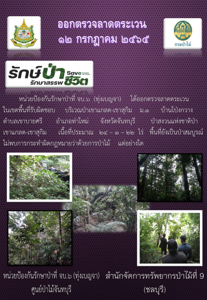 วันที่ 12 กรกฎาคม 2565 หน่วยป้องกันรักษาป่าที่ จบ.6 (ทุ่งเบญจา) ได้ออกตรวจลาดตระเวนในนเขตพื้นที่รับผิดชอบ บริเวณป่าเขาแกลด-เขาสุกิม หมู่ที่ 1 บ้านโป่งกวาง ตำบลเขายาบศรี อำเภอท่าใหม่ จังหวัดจันทบุรี อยู่ในเขตป่าสงวนแห่งชาติป่าเขาแกลด-เขาสุกิม เนื้อที่ประมาณ 24-1-22 ไร่ พื้นที่ยังเป็นป่าสมบูรณ์ ไม่พบการกระทำผิดกฎหมายว่าด้วยการป่าไม้แต่อย่างใด