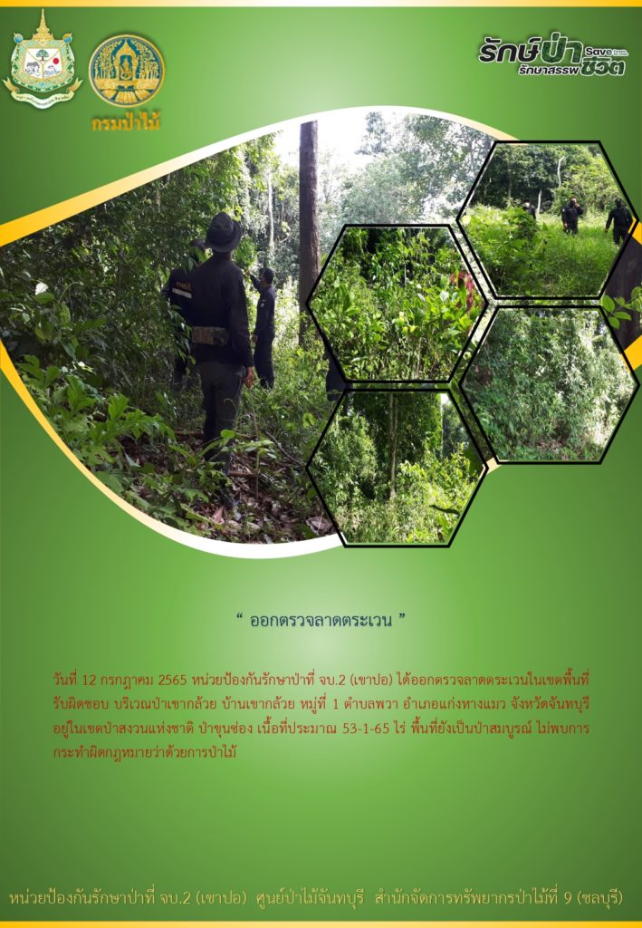วันที่ 12 กรกฎาคม 2565 หน่วยป้องกันรักษาป่าที่ จบ.2 (เขาปอ) ได้ออกตรวจลาดตระเวนในเขตพื้นที่รับผิดชอบ บริเวณป่าเขากล้วย บ้านเขากล้วย หมู่ที่ 1 ตำบลพวา อำเภอแก่งหางแมว จังหวัดจันทบุรี อยู่ในเขตป่าสงวนแห่งชาติป่าขุนซ่อง เนื้อที่ประมาณ 53-1-65 ไร่ พื้นที่ยังเป็นป่าสมบูรณ์ ไม่พบการกระทำผิดกฎหมายว่าด้วยการป่าไม้