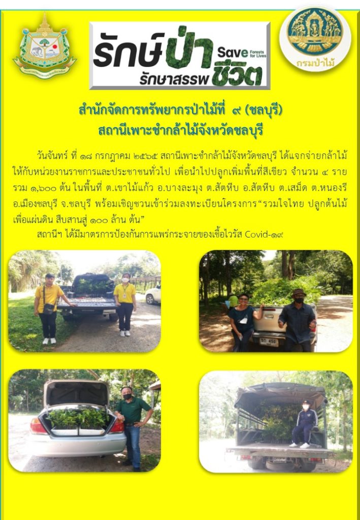 วันที่ 18 กรกฎาคม 2565 สถานีเพาาะชำกล้าไม้จังหวัดชลบุรี ได้แจกจ่ายกล้าไม้ให้กับหน่วยงานราชการและประชาชนทั่วไป เพื่อนำไปปลูกเพิ่มพื้นที่สีเขียว จำนวน 4 ราย รวม 1,600 ต้น ในพื้นที่ตำบลเขาไม้แก้ว อำเภอบางละมุง ตำบลสัตหีบ อำเภอสัตหีบ ตำบบเสม็ด ตำบลหนองรี อำเภอเมืองชบุรี จังหวัดชลบุรี พร้อมเชิญชวนเข้าร่วมลงทะเบียนโครงการ "รวมใจไทย ปลูกต้นไม้ เพื่อแผ่นดิน สืบสานสู่ 100 ล้านต้น"