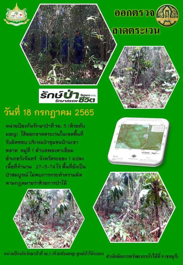 วันที่ 18 กรกฎาคม 2565 หน่วยป้องกันรักษาป่าที่ รย.3 (ห้วยทับมอญ) ได้ออกลาดตระเวนในเขตพื้นที่รับผิดชอบ บริเวณป่าชุมชนบ้านเขาตลาด หมู่ที่ 1 ตำบลพลงตาเอี่ยม อำเภอวังจันทร์ จังหวัดระยอง จำนวน 1 แปลง เนื้อที่ 27-3-74 ไร่ พื้นที่ยังเป็นป่าสมบูรณ์ ไม่พบการกระทำความผิดตามกฎหมายว่าด้วยการป่าไม้