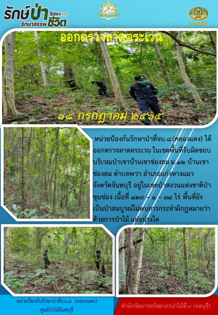 วันที่ 18 กรกฎาคม 2565 หน่วยป้องกันรักษาป่าที่ จบ.8 (คลองแดง) ได้ออกตรวจลาดตระเวนในเขตพื้นที่รับผิดชอบ บริเวณป่าเขาบ้านเขาช่องลม หมู่ที่ 12 บ้านเขาช่องลม ตำบลพวา อำเภอแก่งหางแมว จังหวัดจันทบุรี อยู่ในเขตป่าสงวนแห่งชาติป่าขุนซ่อง เนื้อที่ 129-1-34 ไร่ พื้นที่ยังเป็นป่าสมบูรณ์ ไม่พบการกระทำผิดตามกฎหมายว่าด้วยการป่าไม้แต่อย่างใด