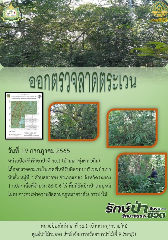 วันที่ 19 กรกฎาคม 2565 หน่วยป้องกันรักษาป่าที่ รย.1 (บ้านนา-ทุ่งควายกิน) ได้ออกลาดตระเวนในเขตพื้นที่รับผิดชอบ บริเวณป่าเขาหินตั้ง หมู่ที่ 7 ตำบลชากพง อำเภอแกลง จังหวัดระยอง จำนวน 1 แปลง เนื้อที่ 86-0-6 ไร่ พื้นที่ยังเป็นป่าสมบูรณ์ ไม่พบการกระทำความผิดตามกฎหมายว่าด้วยการป่าไม้