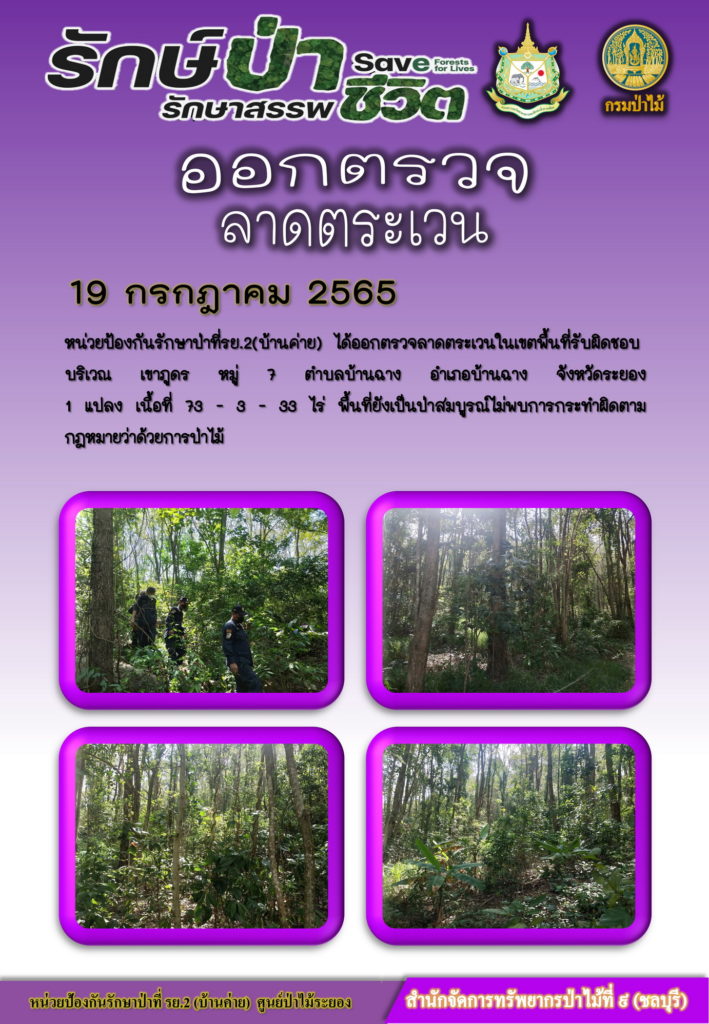 วันที่ 19 กรกฎาคม 2565 หน่วยป้องกันรักษาป่าที่ รย.2 (บ้านค่าย) ได้ออกตรวจลาดตระเวนในเขตพื้นที่รับผิดชอบ บริเวณเขาภูดร หมู่ที่ 7 ตำบลบ้านฉาง อำเภอบ้านฉาง จังหวัดระยอง จำนวน 1 แปลง เนื้อที่ 73-3-33 ไร่ พื้นที่ยังเป็นป่าสมบูรณ์ ไม่พบการกระทำผิดตามกฎหมายว่าด้วยการป่าไม้