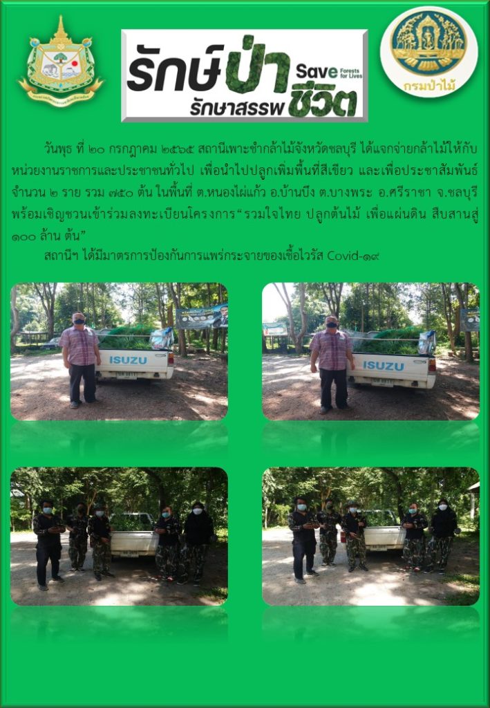 วันที่ 20 กรกฎาคม 2565 สถานีเพาะชำกล้าไม้จังหวัดชลบุรี ได้แจกจ่ายกล้าไม้ให้กับหน่วยงานราชการและประชาชนทั่วไป เพื่อนำไปปลูกเพิ่มพื้นที่สีเขียว และเพื่อประชาสัมพันธ์ จำนวน 2 ราย รวม 750 ต้น ในพื้นที่ตำบลหนองไผ่แก้ว อำเภอบ้านบึง ตำบลบางพระ อำเภอศรีราชา จังหวัดชลบุรี พร้อมเชิญชวนเข้าร่วมลงทะเบียนโครงการ "รวมใจไทย ปลูกต้นไม้ เพื่อแผ่นดิน สืบสานสู่ 100 ล้านต้น"