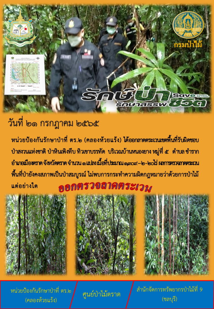 วันที 21 กรกฎาคม 2565 หน่วยป้องกันรักษาป่าที่ ตร.2 (คลองห้วยแร้ง) ได้ออกลาดตระเวนเขตพื้นที่รับผิดชอบป่าสงวนแห่งชาติป่าหินเพิงทึบ ทิวเขาบรรทัด บริเวณบ้านหนองยาง หมู่ที่ 5 ตำบลชำราก อำเภอเมืองตราด จังหวัดตราด จำนวน 1 แปลง เนื้อที่ประมาณ 1,309-2-20 ไร่ ผลการตรวจลาดตระเวน พื้นที่ป่ายังคงสภาพเป็นป่าสมบูรณ์ ไม่พบการกระทำความผิดตามกฎหมายว่าด้วยการป่าไม้แต่อย่างใด
