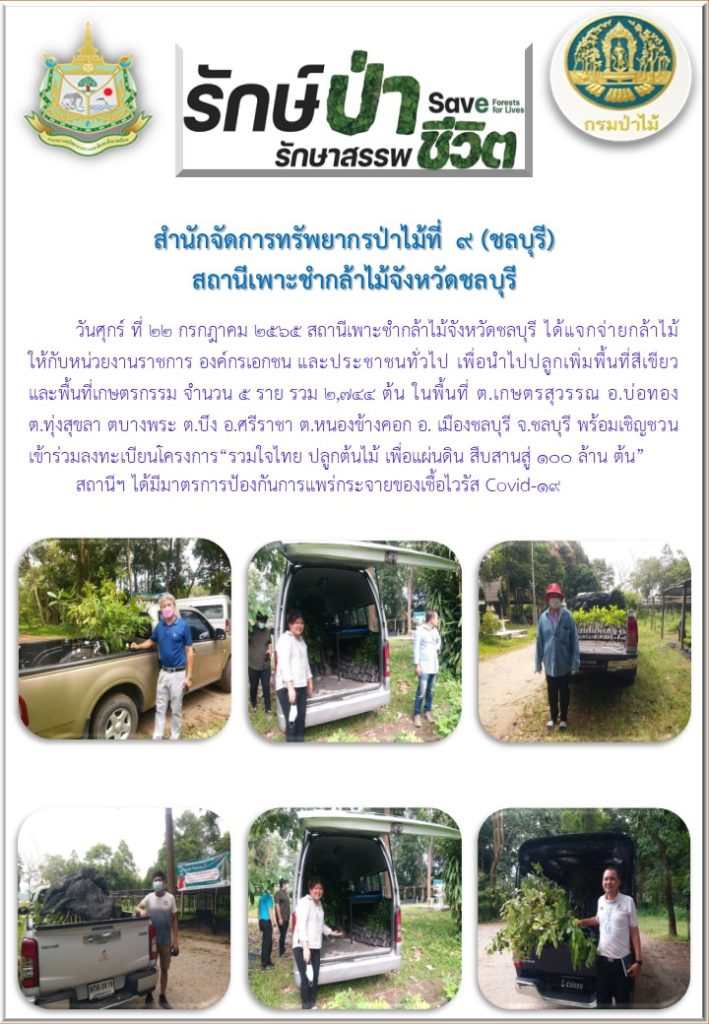 วันที่ 22 กรกฎาคม 2565 สถานีเพาะชำกล้าไม้จังหวัดชลบุรี ได้แจกจ่ายกล้าไม้ให้กับหน่วยงงานราชการ องค์กรเอกชน และประชาชนทั่วไป เพื่อนำไปปลูกเพิ่มพื้นที่สีเขียวและพื้นที่เกษตรกรรม จำนวน 5 ราย รวม 2,744 ต้น ในพื้นที่ตำบลเกษตรสุวรรณ อำเภอบ่อทอง ตำบลทุ่งสุขลา ตำบลบางพระ ตำบลบึง อำเภอศรีราชา ตำบลหนองข้างคอก อำเภอเมืองชลบุรี จังหวัดชลบุรี พร้อมเชิญชวนเข้าร่วมลงทะเบียนโครงการ "รวมใจไทย ปลูกต้นไม้ เพื่อแผ่นดิน สืบสานสู่ 100 ล้านต้น"