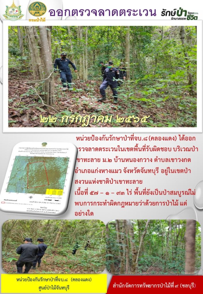 วันที่ 22 กรกฎาคม 2565 หน่วยป้องกันรักษาป่าที่ จบ.8 (คลองแดง) ได้ออกตรวจลาดตระเวนในเขตพื้นที่รับผิดชอบ บริเวณป่าเขาทะลาย หมู่ที่ 2 บ้านหนองกวาง ตำบลเขาวงกต อำเภอแก่งหางแมว จังหวัดจันทบุรี อยู่ในเขตป่าสงวนแห่งชาติป่าเขาทะลาย เนื้อที่ 57-1-93 ไร่ พื้นที่ยังเป็นป่าสมบูรณ์ ไม่พบการกระทำผิดตามกฎหมายว่าด้วยการป่าไม้แต่อย่างใด