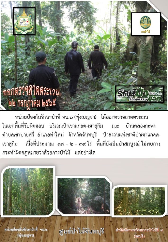 วันที่ 22 กรกฎาคม 2565 หน่วยป้องกันรักษาป่าที่ จบ.6 (ทุ่งเบญจา) ได้ออกตรวจลาดตระเวนในเขตพื้นที่รับผิดชอบ บริเวณป่าเขาแกลด-เขาสุกิม หมู่ที่ 9 บ้านคลองกะพง ตำบลเขาบายศรี อำเภอท่าใหม่ จังหวัดจันทบุรี อยู่ในเขตป่าสงวนแห่งชาติป่าเขาแกลด-เขาสุกิม เนื้อที่ประมาณ 37-2-39 ไร่ พื้นที่ยังเป็นป่าสมบูรณ์ ไม่พบการกระทำผิดตามกฎหมายว่าด้วยการป่าไม้แต่อย่างใด